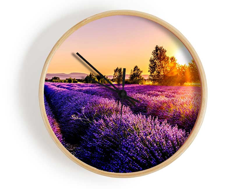 Sunflare over the lavender Clock - Wallart-Direct UK