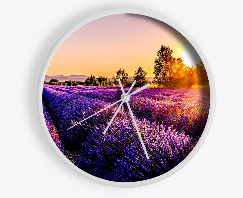 Sunflare over the lavender Clock - Wallart-Direct UK