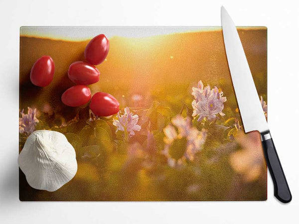 Diffused light on the meadow Glass Chopping Board