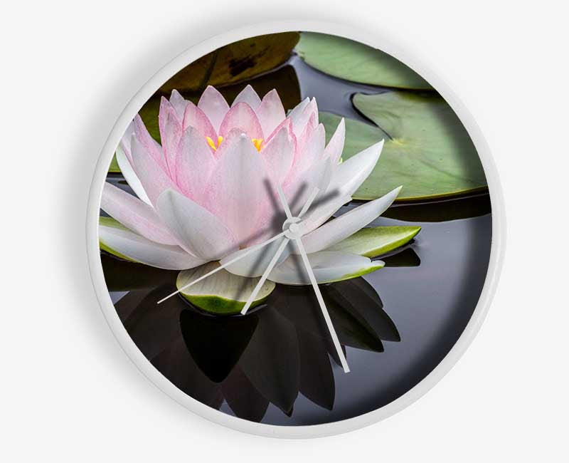 Pond plant floating on the lake Clock - Wallart-Direct UK