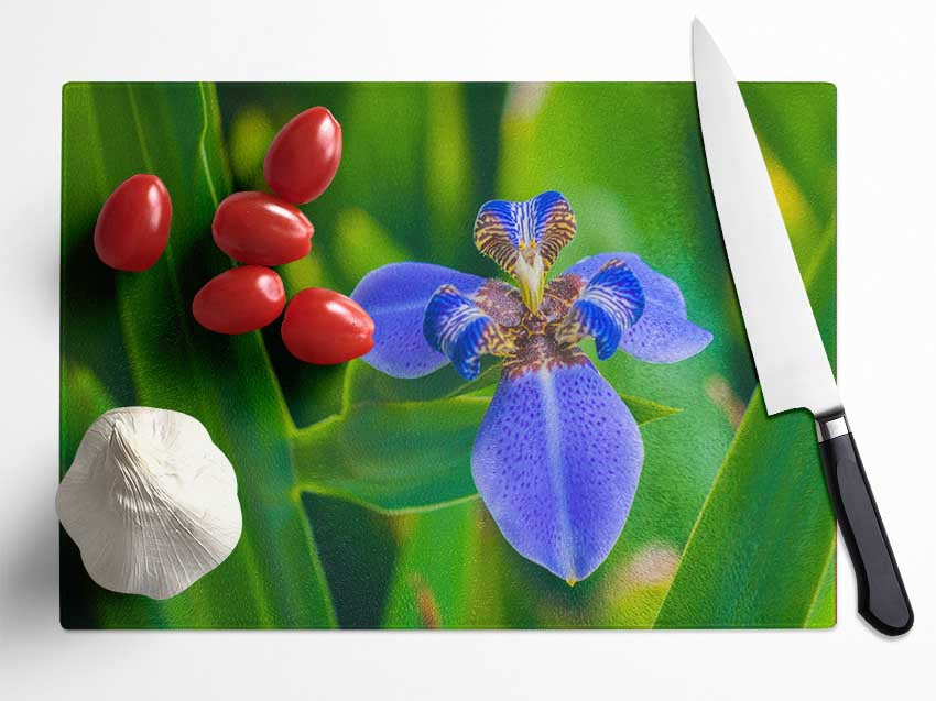 Tiny blue flower in shot Glass Chopping Board