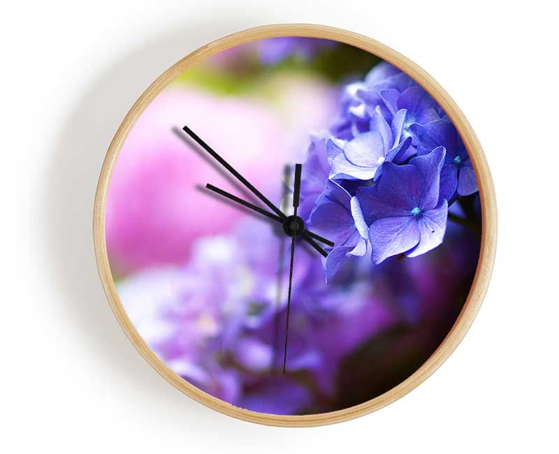 Pretty small purple flowers Clock - Wallart-Direct UK