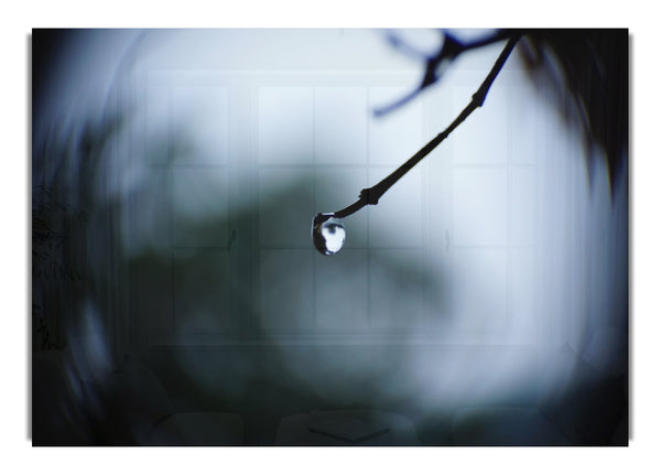 Singele droplet on a twig