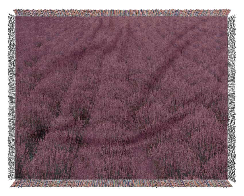 Impressive fields of lavender Woven Blanket