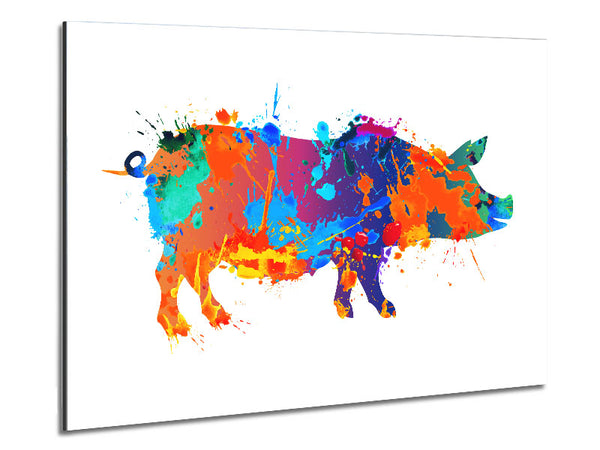 Colour splash Pig