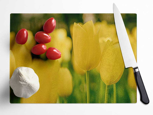 Yellow tulips supreme Glass Chopping Board