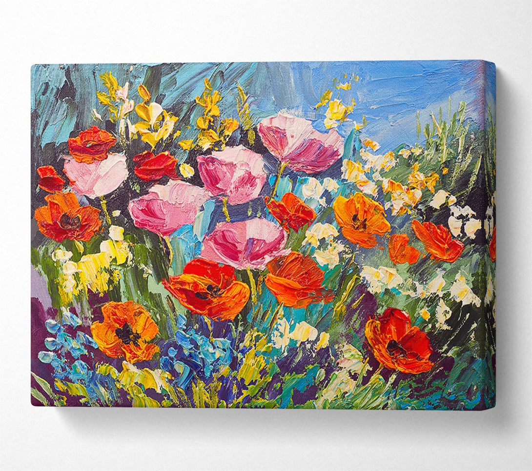 Picture of Mixed Poppies In The Sun Canvas Print Wall Art