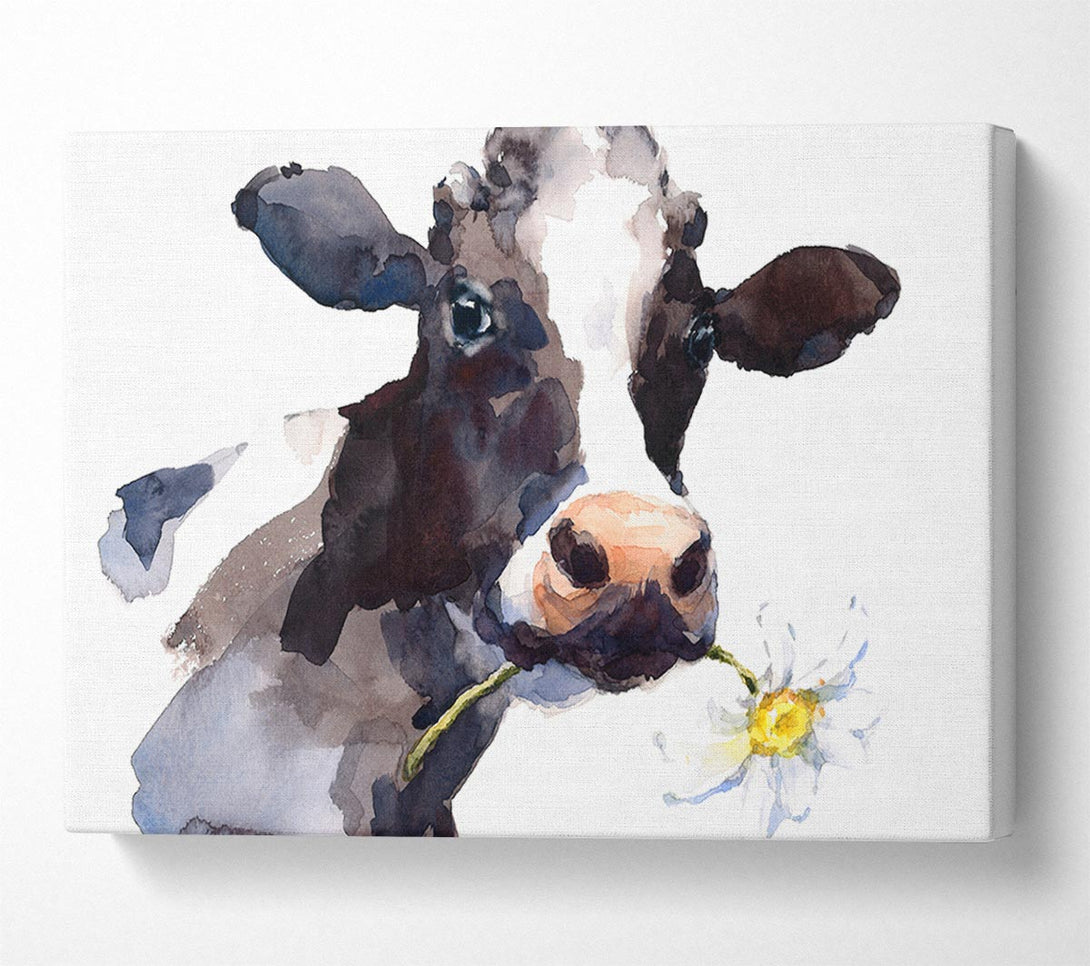 Picture of Daisy The Cow Canvas Print Wall Art