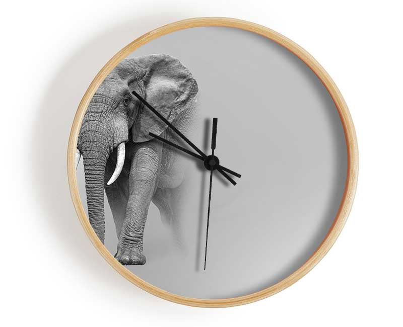 Elephant In The Mist Clock - Wallart-Direct UK