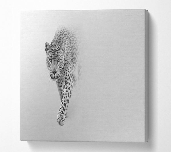 A Square Canvas Print Showing Leopard In The Mist Square Wall Art