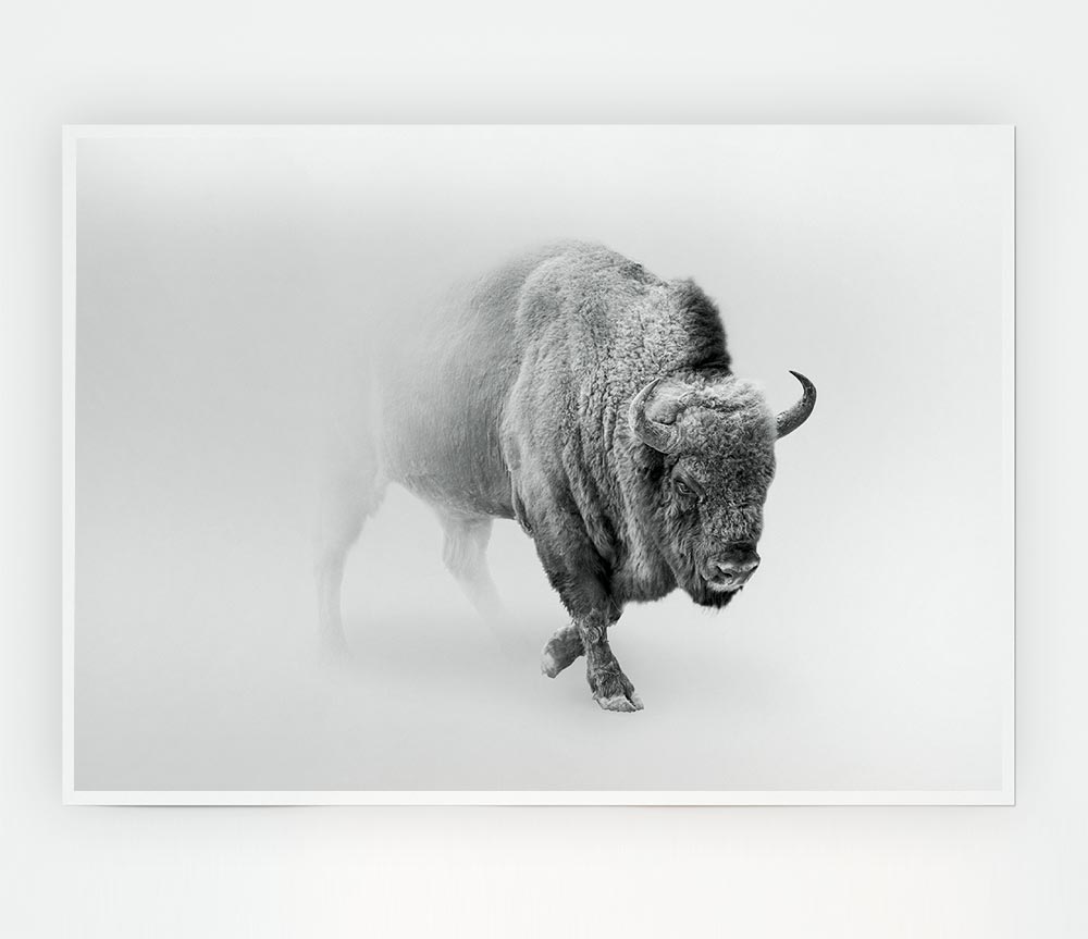 Bison In The Mist Print Poster Wall Art