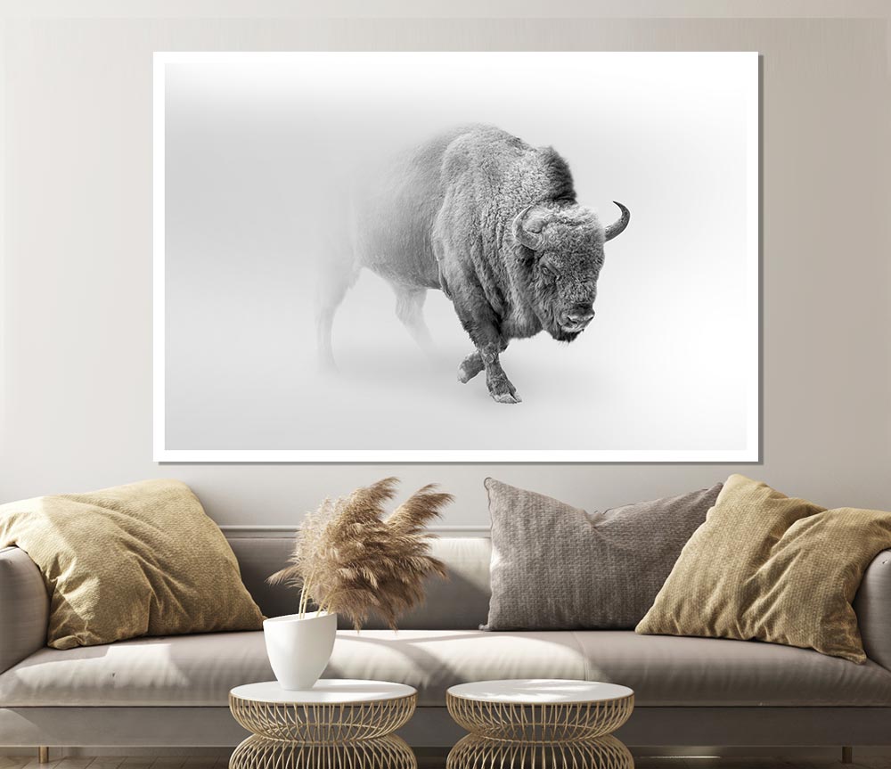 Bison In The Mist Print Poster Wall Art