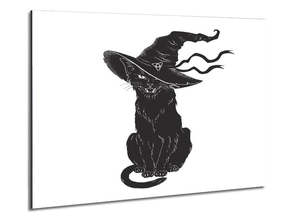 Black Cat Witches Hat