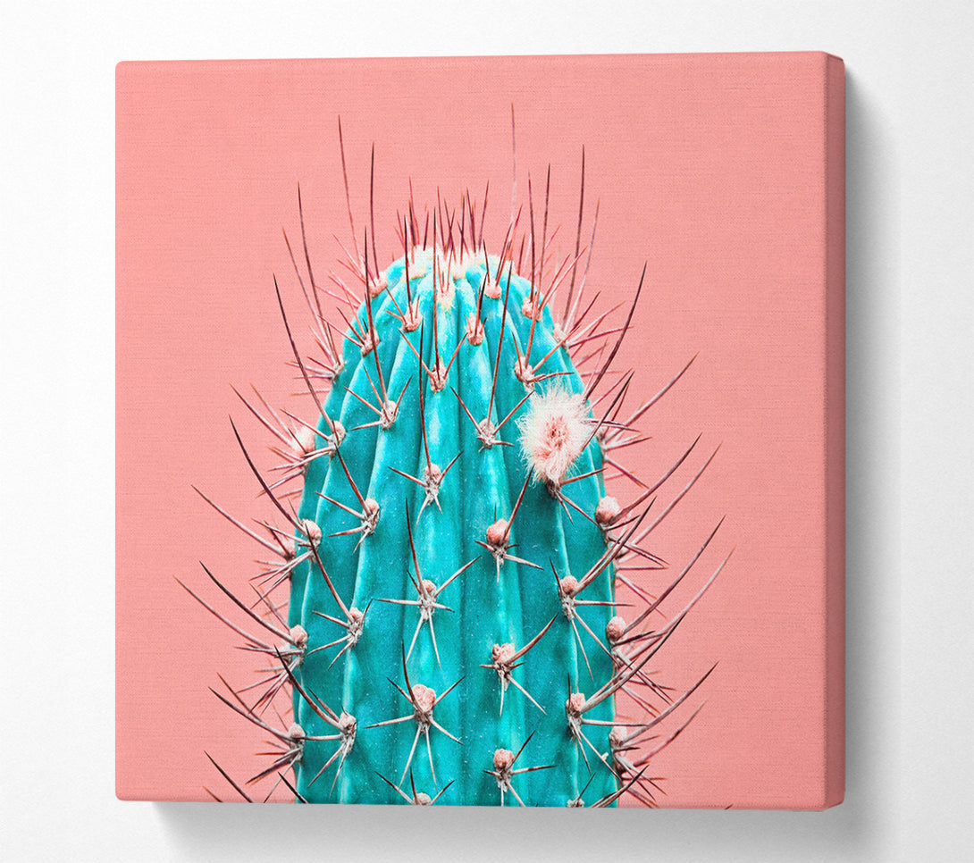 A Square Canvas Print Showing Teal Cactus Square Wall Art