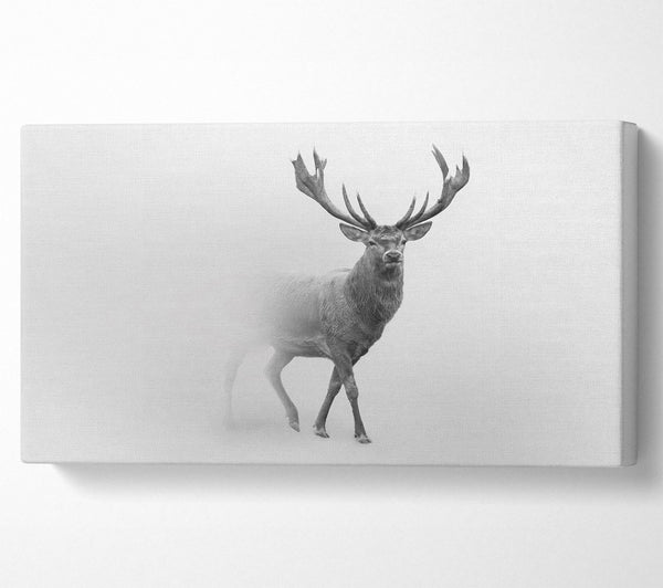 Stag In The Mist