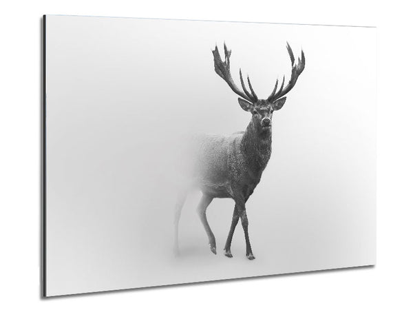 Stag In The Mist