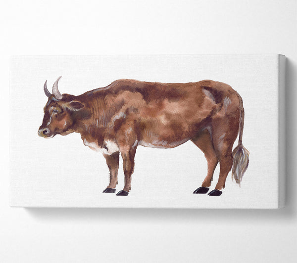 Big Brown Cow