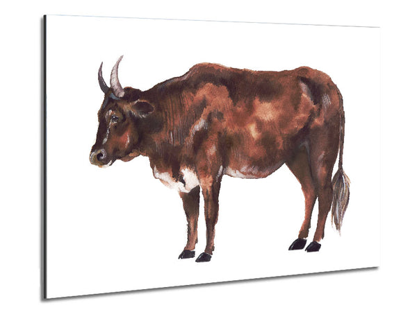 Big Brown Cow