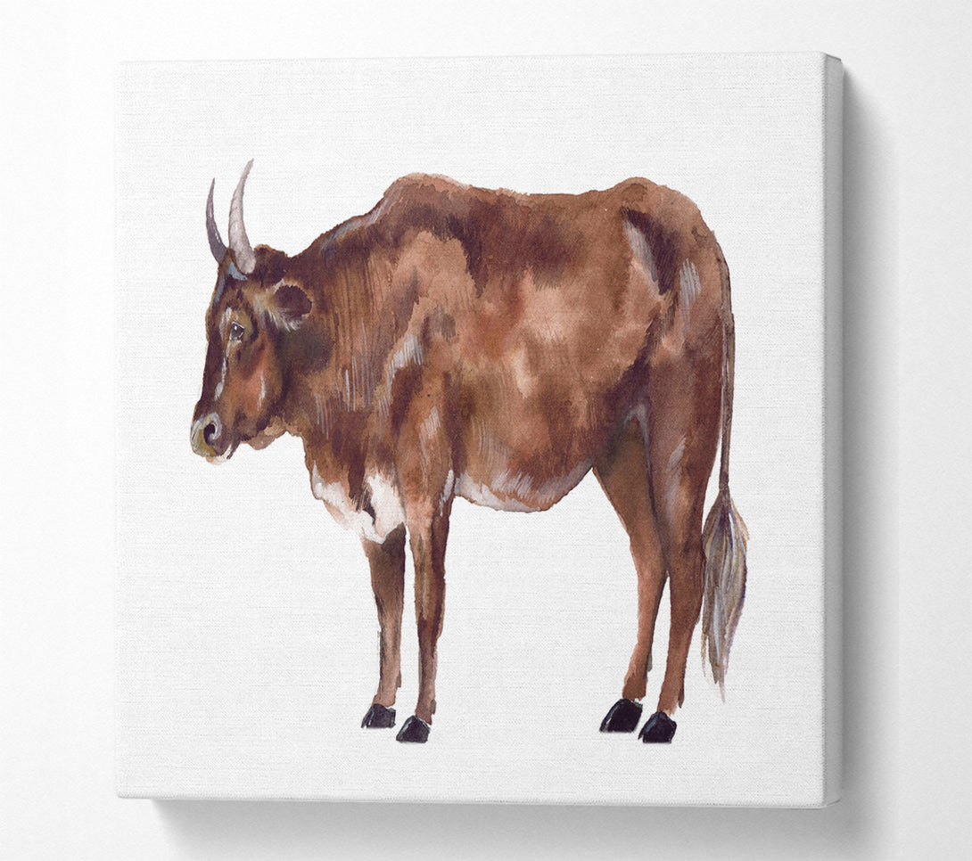 A Square Canvas Print Showing Big Brown Cow Square Wall Art