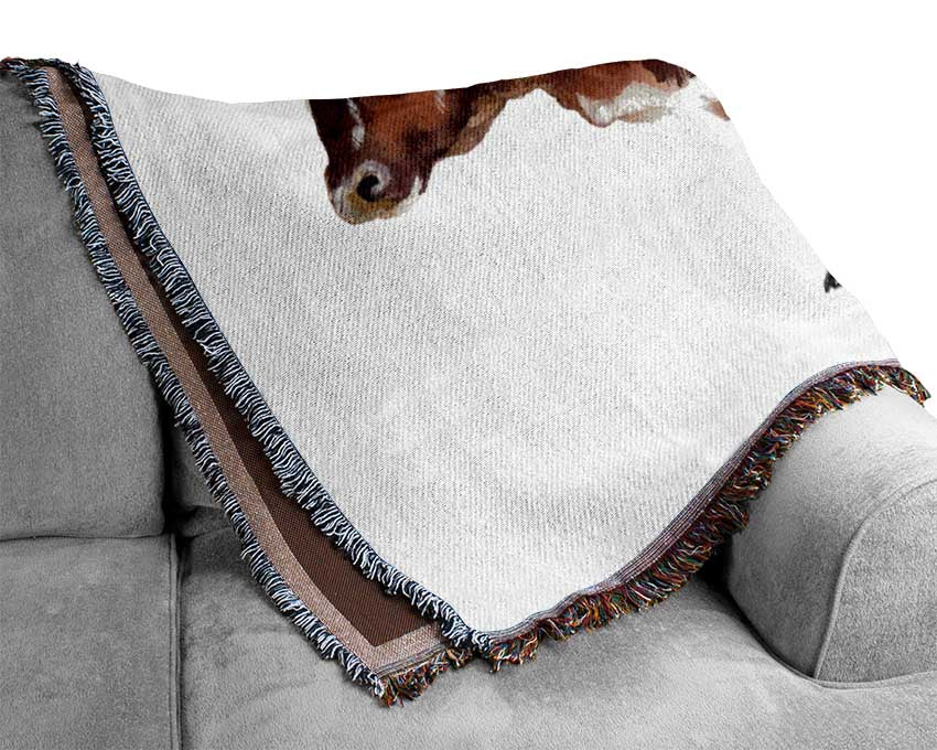 Big Brown Cow Woven Blanket