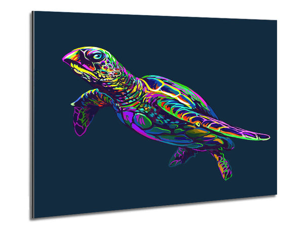 The Colourful Turtle