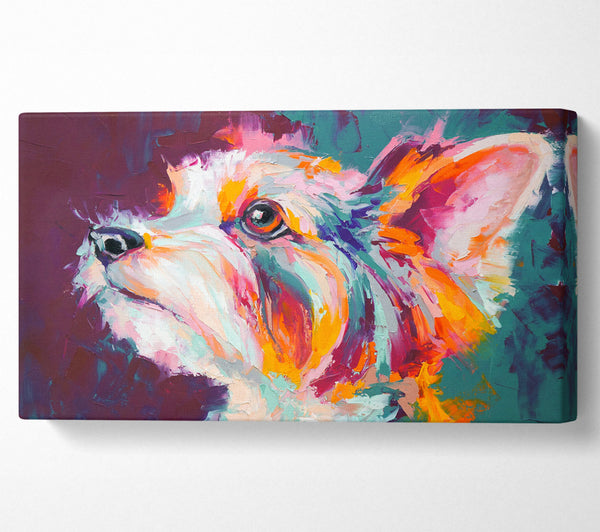 Vibrant Yorkshire Terrier