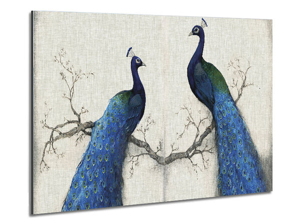 The Peacock Duo