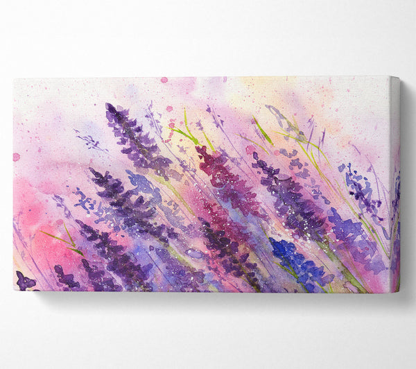 Lavender Colour Splash