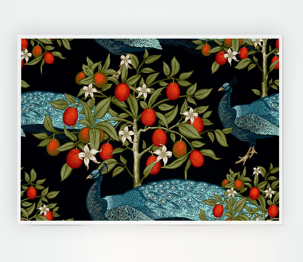 The Peacock And Orange Tree Print Poster Wall Art