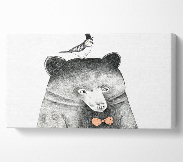 Bird And Bear