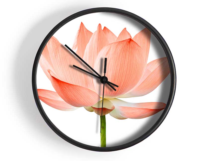 The Peach Flower Beauty Clock - Wallart-Direct UK