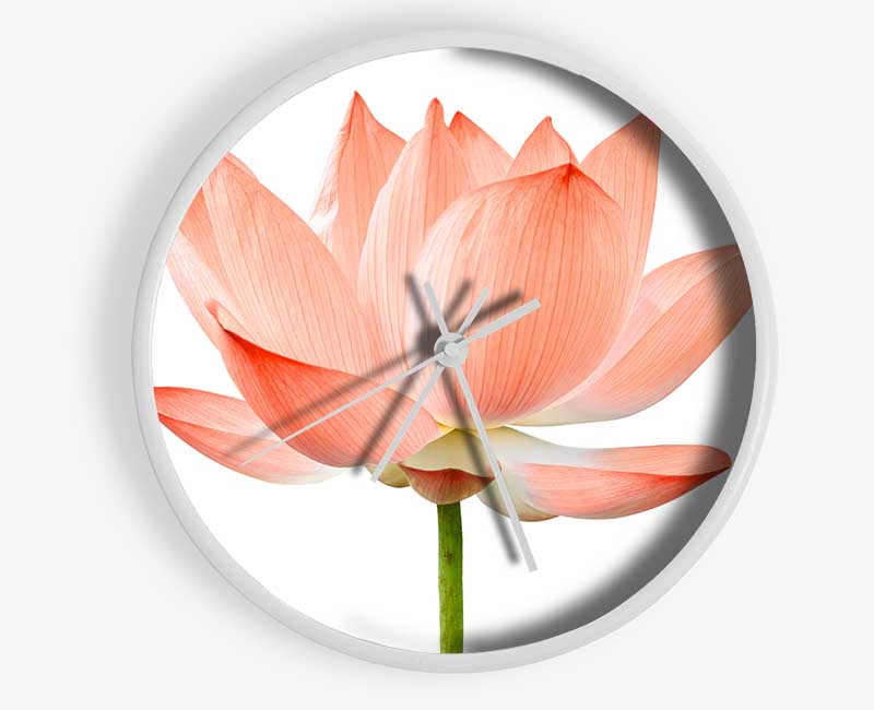 The Peach Flower Beauty Clock - Wallart-Direct UK