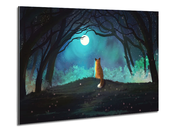 Fox Staring At The Moon