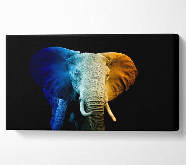 Tri Coloured Elephant