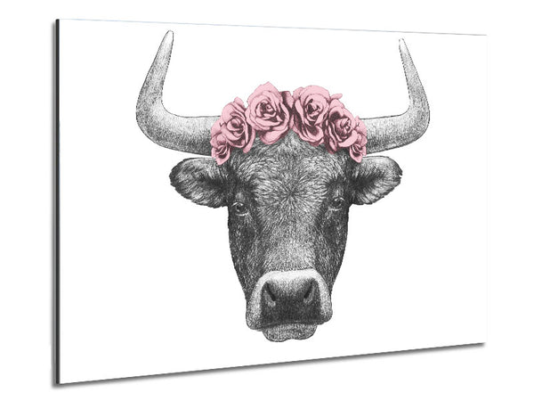 Rose Bull Head