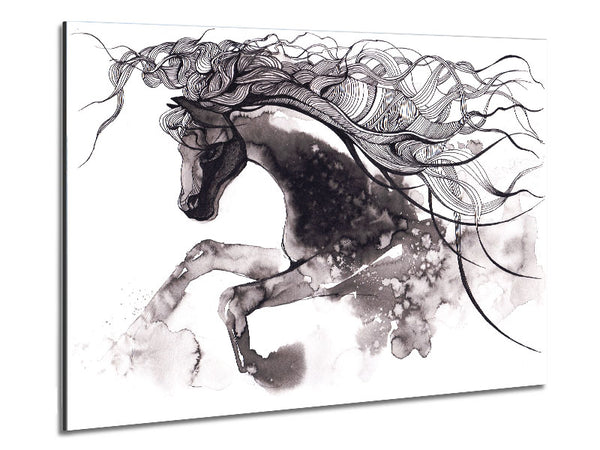 Long Haired Horse