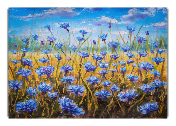 Kleine blaue Blumen auf dem Feld