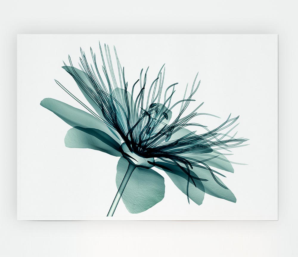 Green Flower Opens Print Poster Wall Art