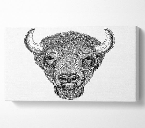 Glasses On A Bison