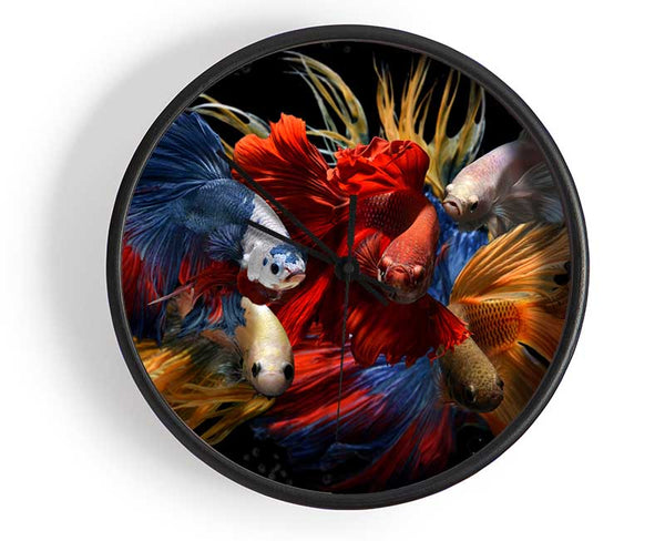 Siamese Fighting Fish Clock - Wallart-Direct UK