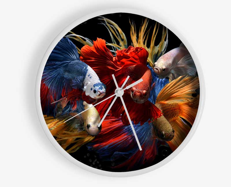 Siamese Fighting Fish Clock - Wallart-Direct UK