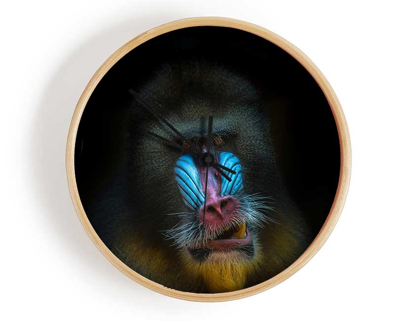 Mandrill Anger Clock - Wallart-Direct UK