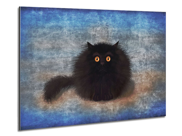 Black Fuzzy Cat