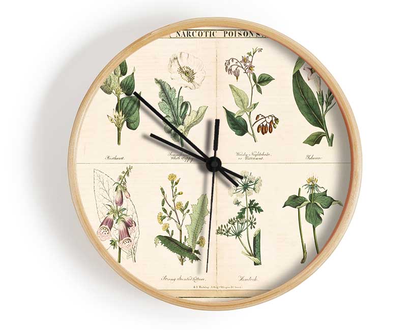 Flower Illustrations Clock - Wallart-Direct UK