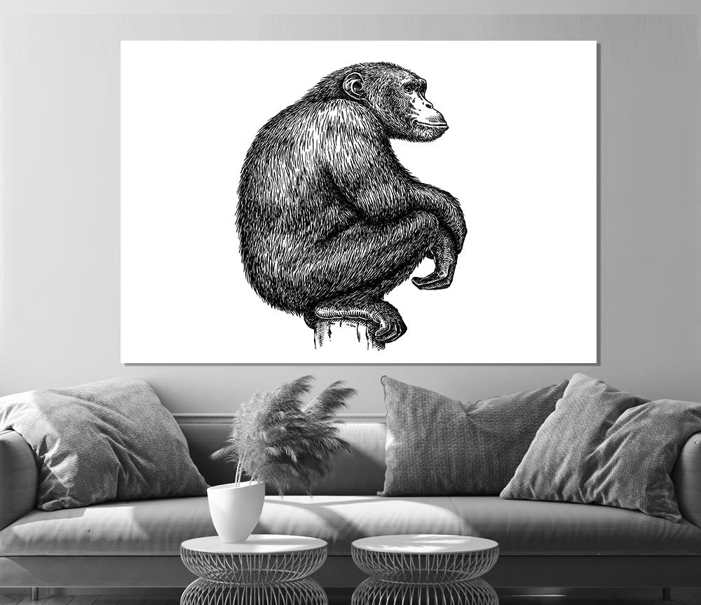 Chimpanzee Sitting Print Poster Wall Art