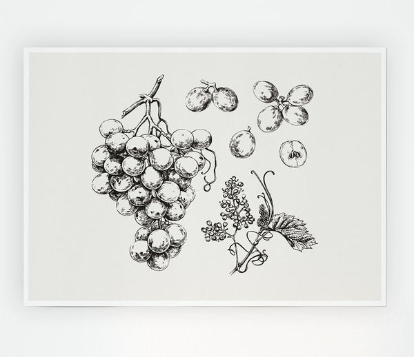 Bounty Harvest Print Poster Wall Art