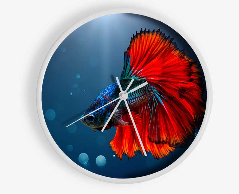 The Siamese Fighter Fish Clock - Wallart-Direct UK