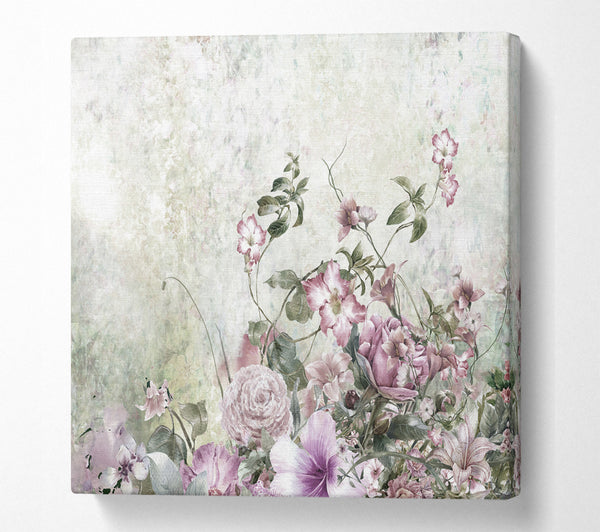 A Square Canvas Print Showing Pink Blossom Wild Square Wall Art