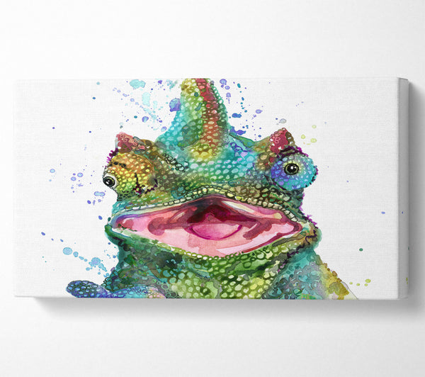 Chameleon Paint Splat