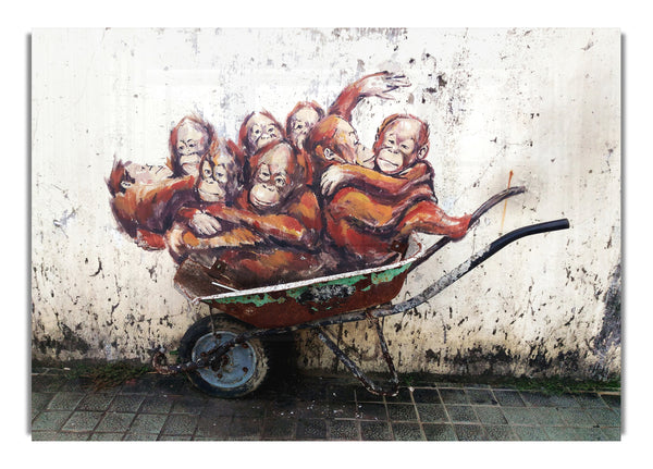 Orangutans In A Wheelbarrow